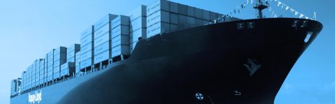 EXPERIENCIA Y PROFESIONALISMO